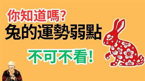 屬兔 宥|生肖兔: 性格，愛情，2024運勢，生肖1987，1999，2011